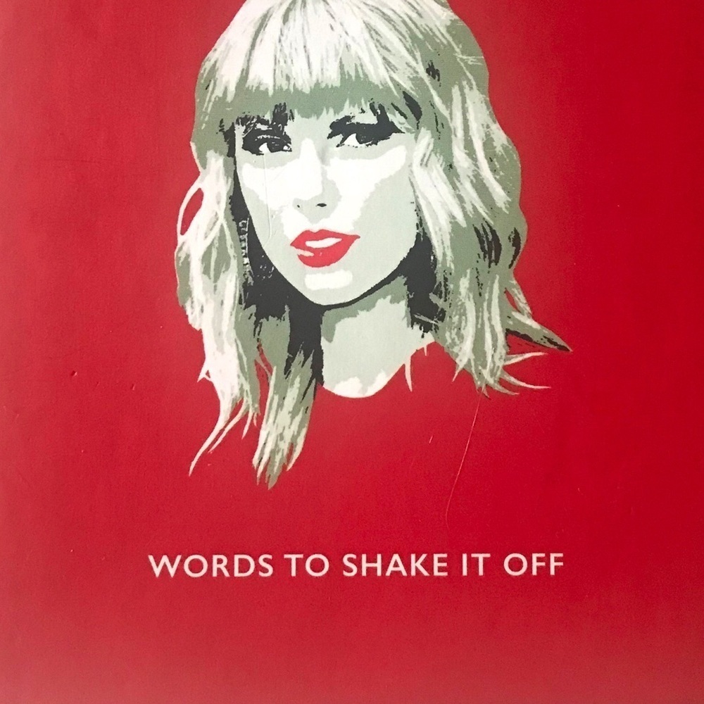 The Little Guide To Taylor Swift Words To Shake It Off Book